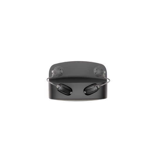 Allure Standard Charger