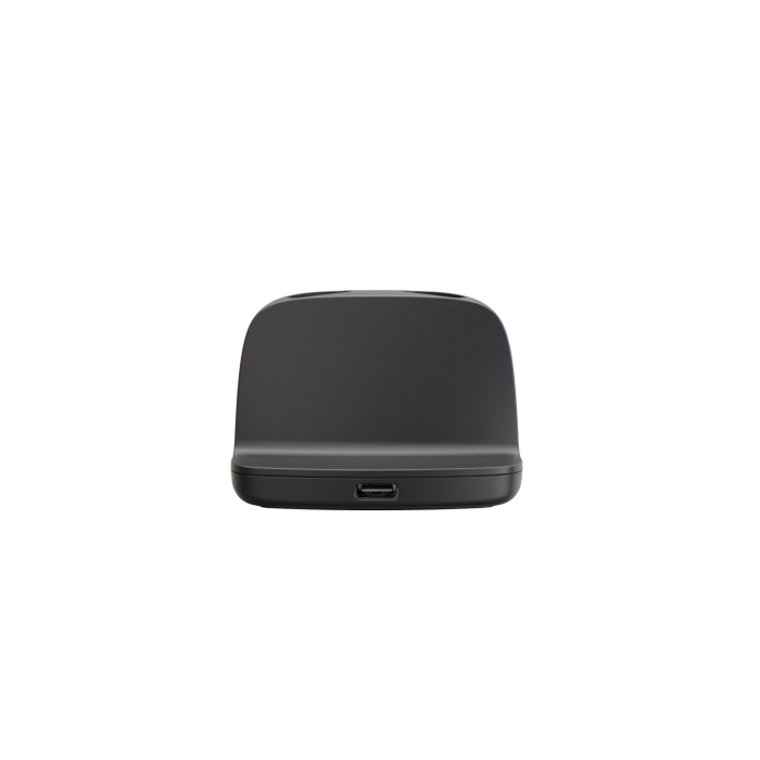 Allure Standard Charger