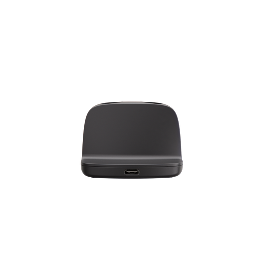 Allure Standard Charger