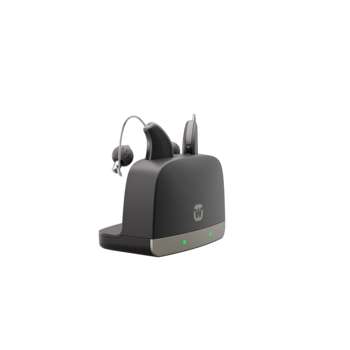 Allure Standard Charger