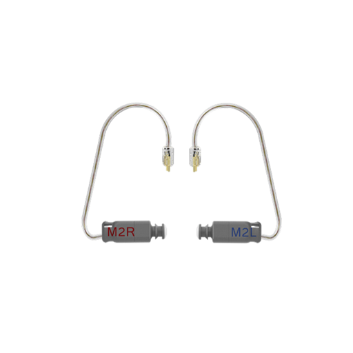 WIDEX RIC Receiver